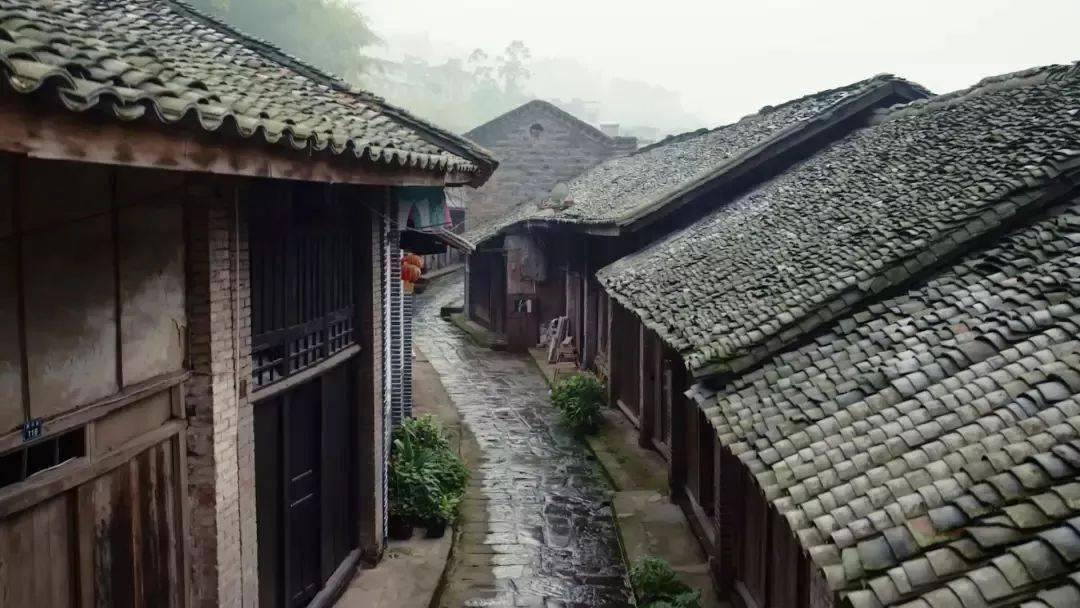 动物帮帮忙保卫家园